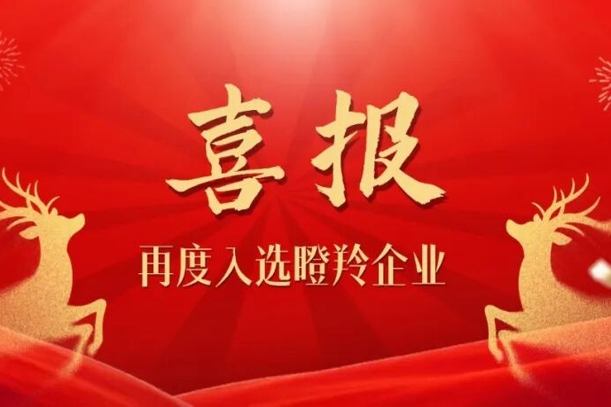 连续两年蝉联！恭喜BB贝博艾弗森再度入选瞪羚企业名单！